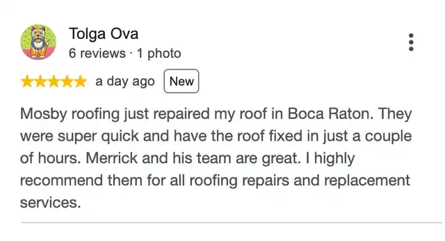5-star Google review from Tolga Ova
