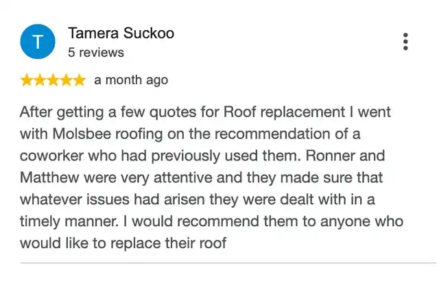 5-star Google review from Tamera Suckoo