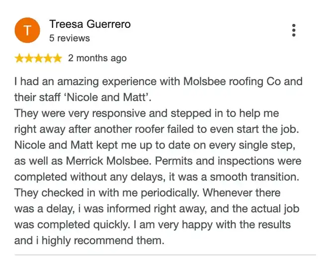 5-star Google review from Treesa Guerrero