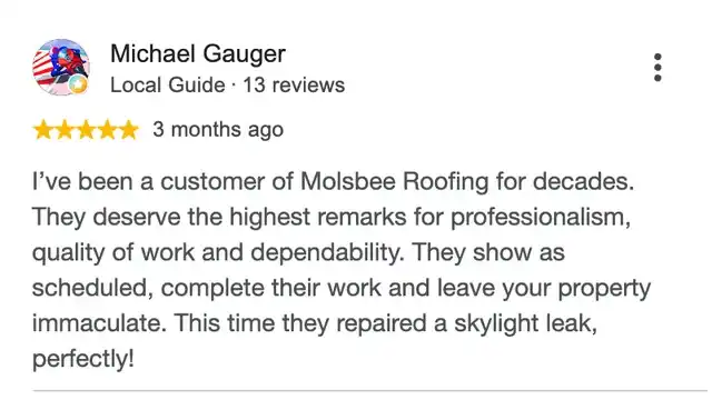 5-star Google review from Michael Gauger