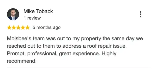 5-star Google review from Mike Toback