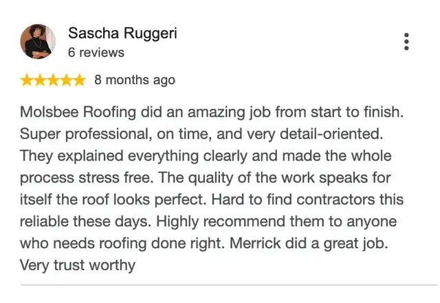 5-star Google review from Sascha Ruggeri