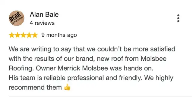 5-star Google review from Alan Bale