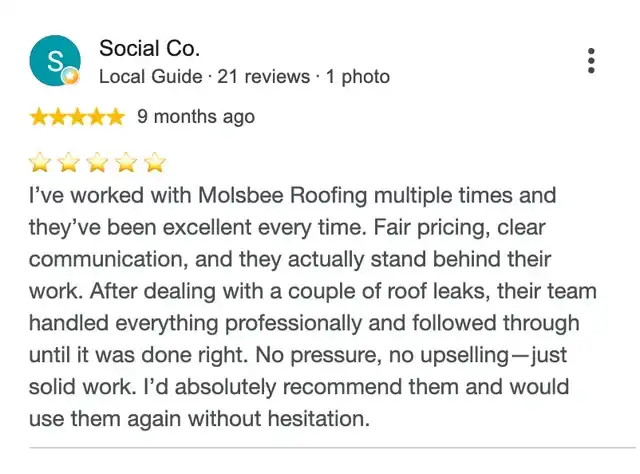 5-star Google review from Social Co.