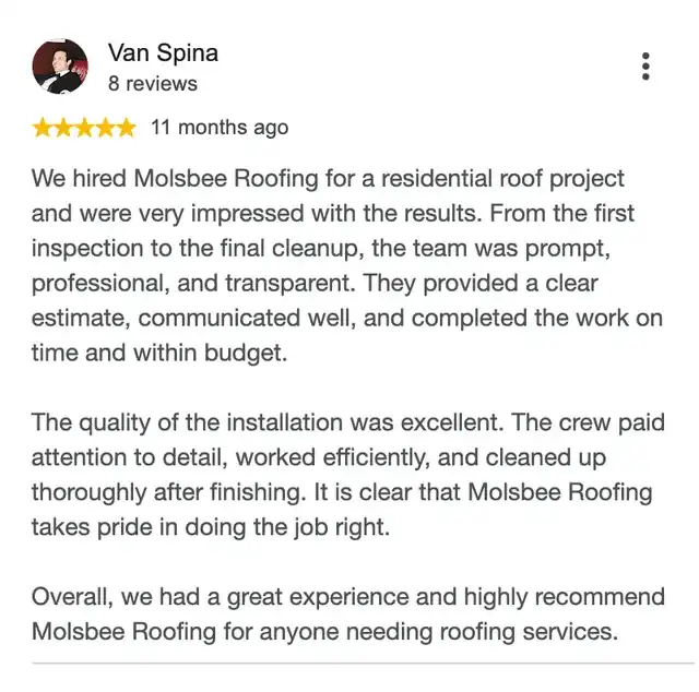 5-star Google review from Van Spina