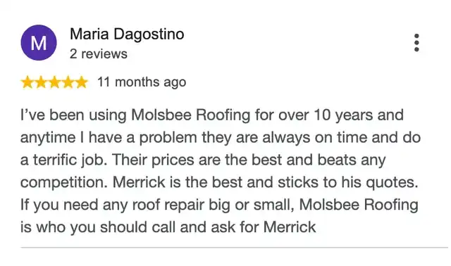 5-star Google review from Maria Dagostino