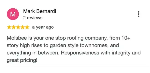 5-star Google review from Mark Bernardi