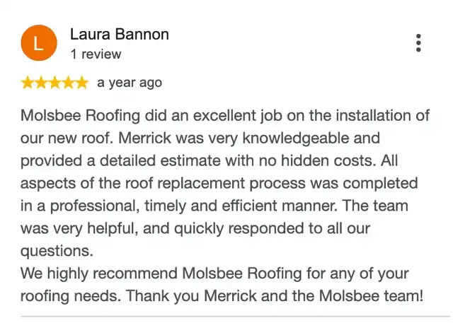 5-star Google review from Laura Bannon