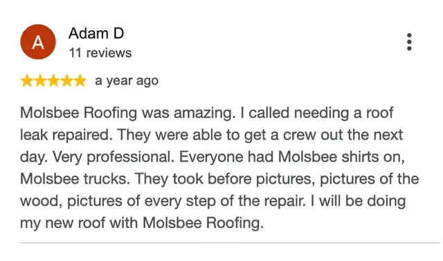 5-star Google review from Adam D