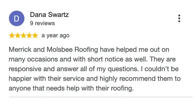 5-star Google review from Dana Swartz
