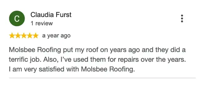 5-star Google review from Claudia Furst