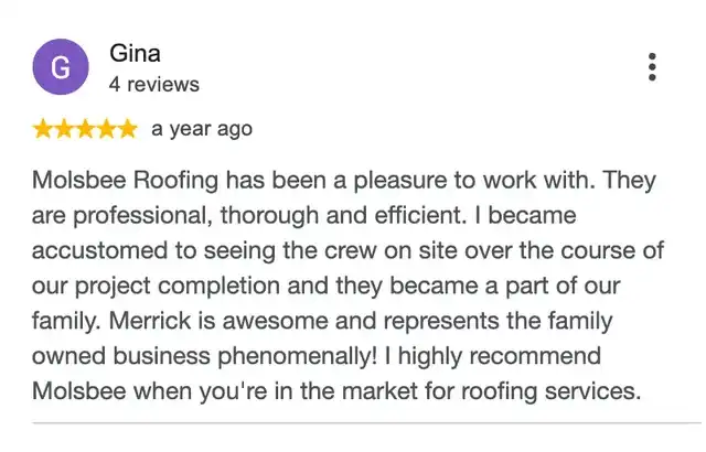 5-star Google review from Gina