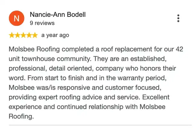 5-star Google review from Nancie-Ann Bodell